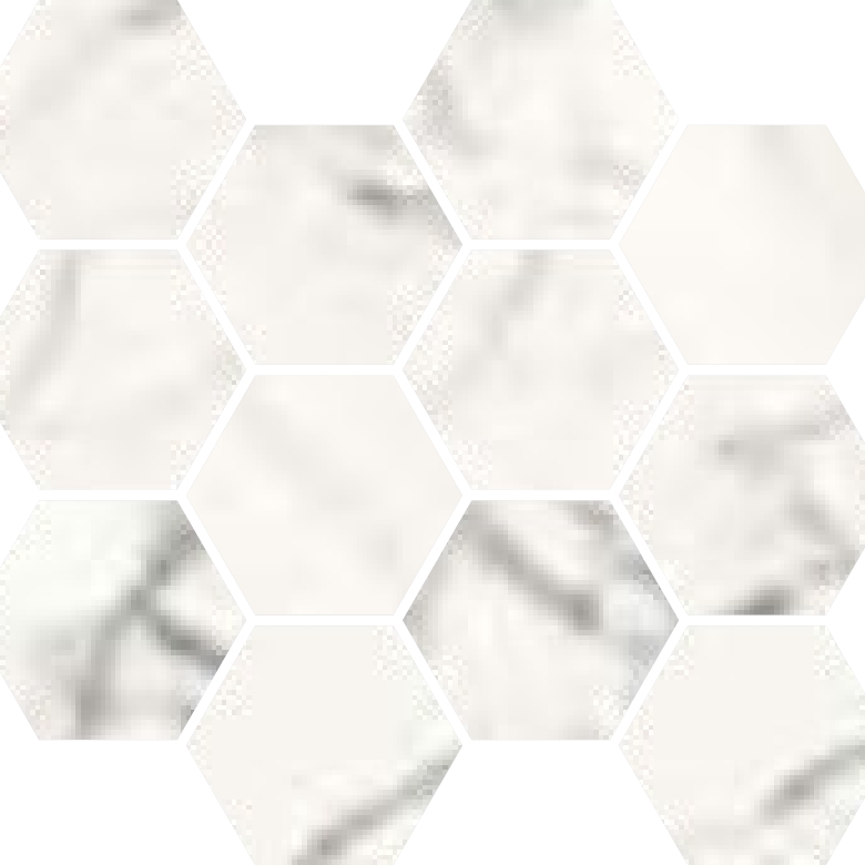 Module Filet Hexagone SI005087 3